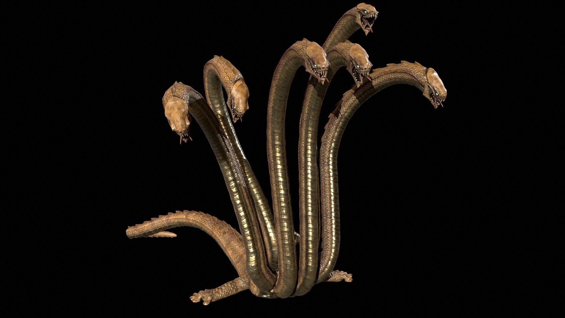 Hydra GR Low-poly 3D model_4