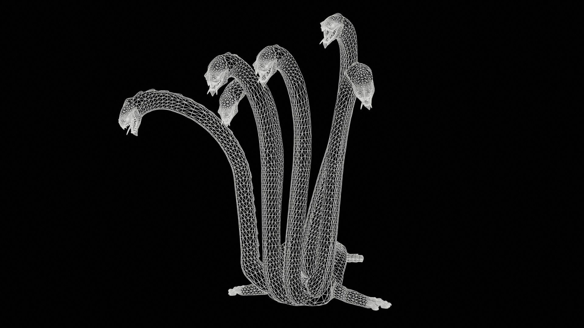 Hydra GR Low-poly 3D model_24