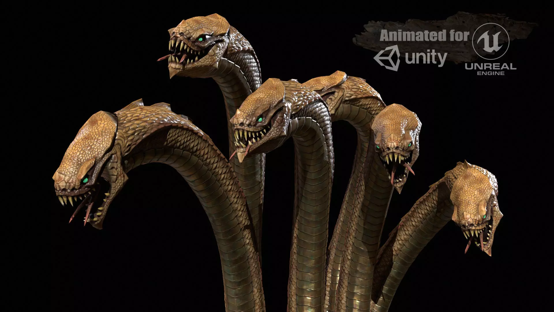 Hydra GR Low-poly 3D model_0