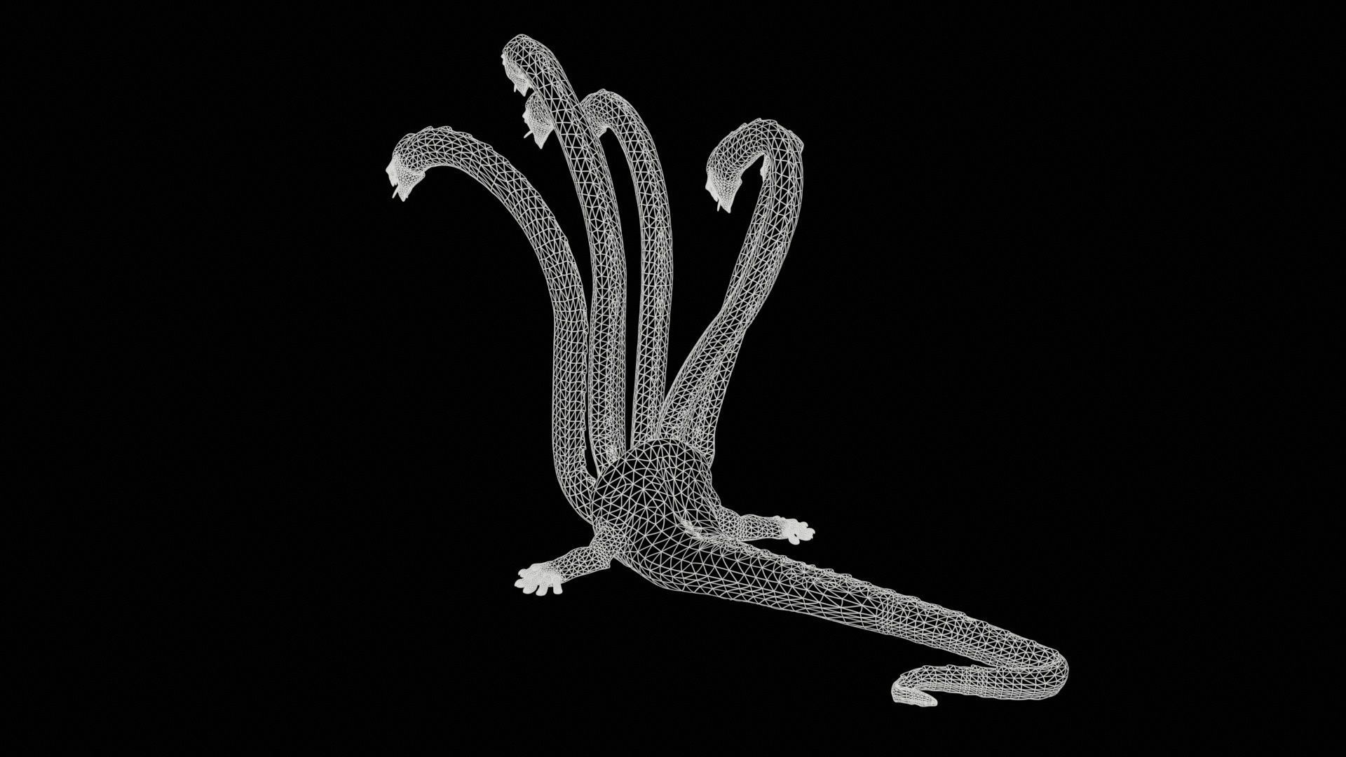 Hydra GR Low-poly 3D model_25