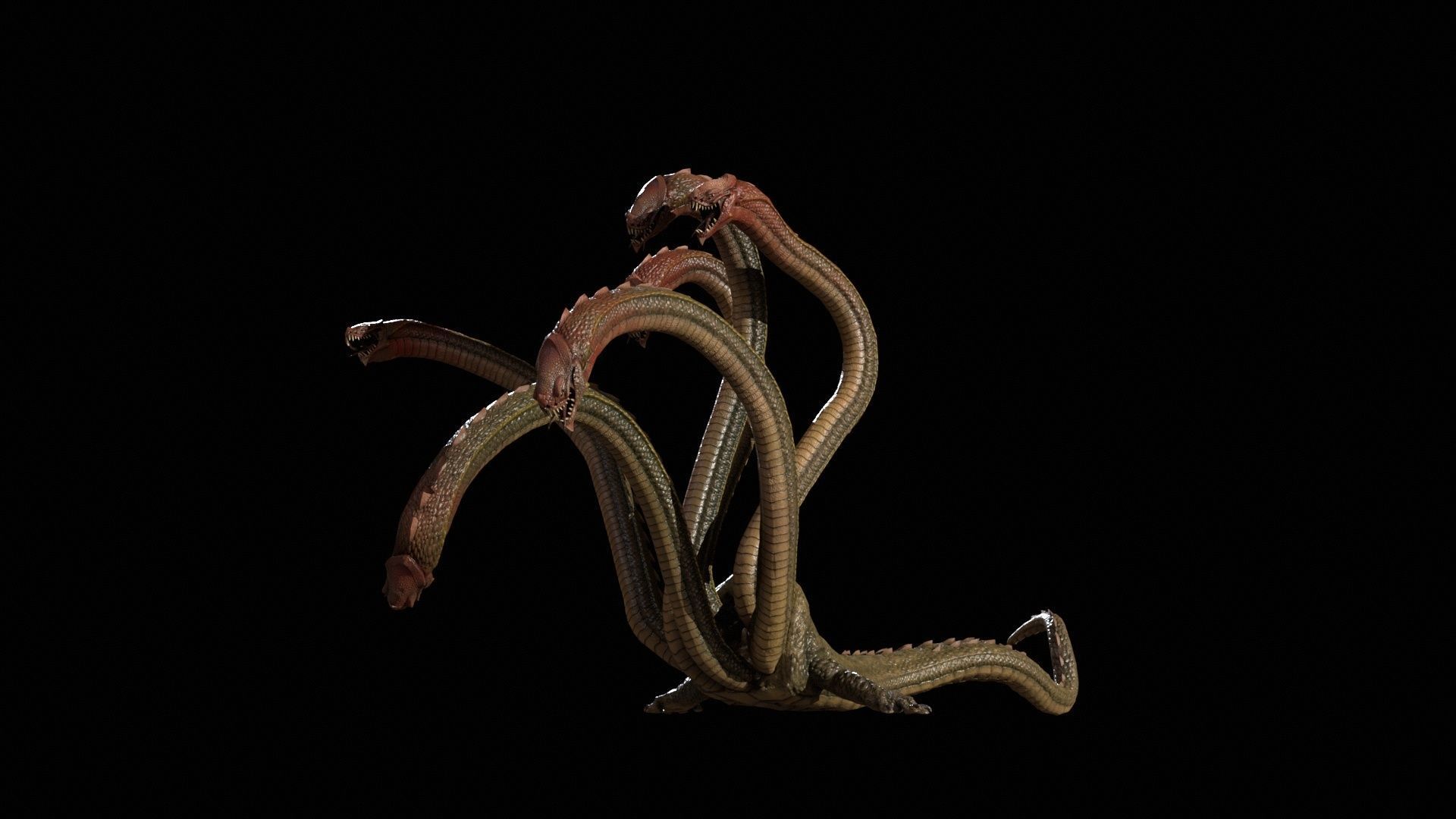 Hydra GR Low-poly 3D model_11