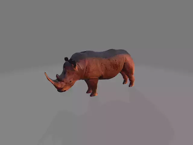 Rhino