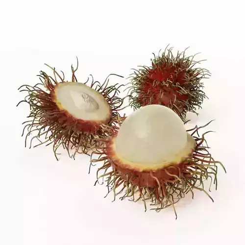 Tropical Rambutan Fruit