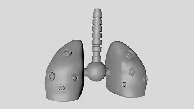 Mechanical Lung 3D model