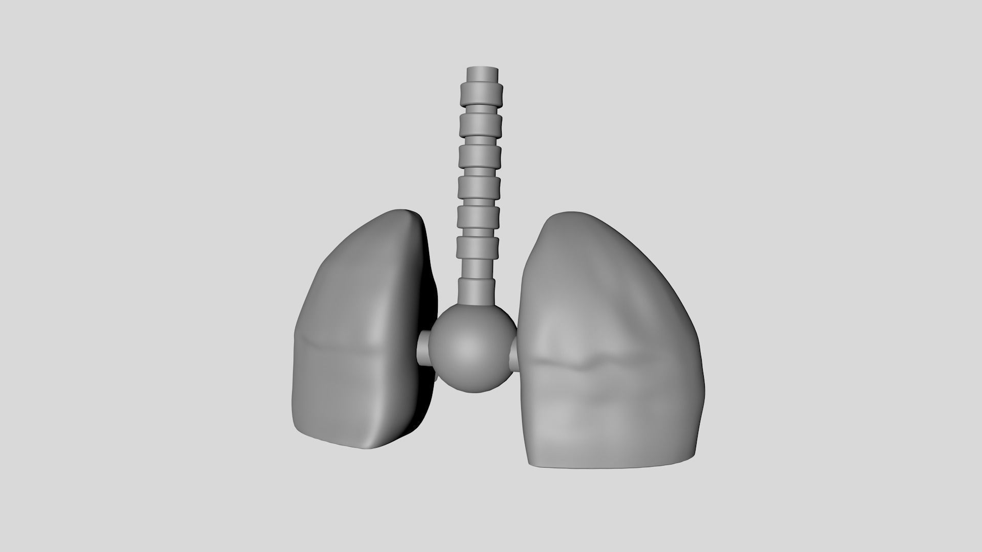 Mechanical Lung 3D model_2
