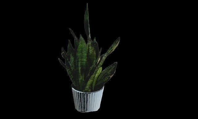 Plant aloe vera in pot Free 3D model