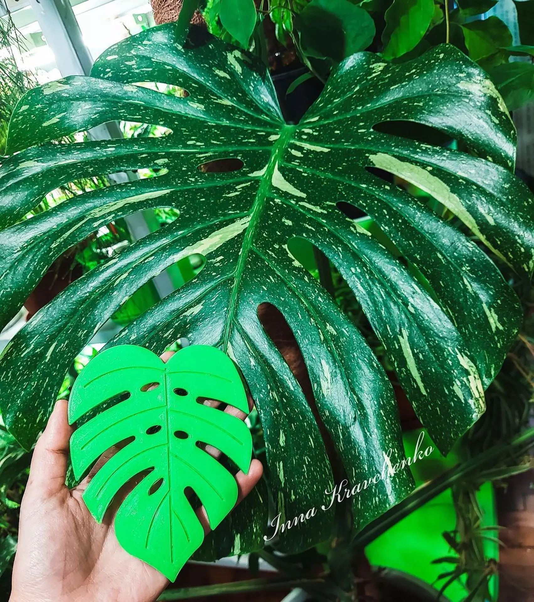 Cup coaster Monstera Leaf 3D print model_0