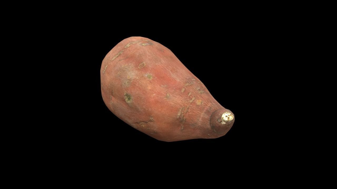 Sweet Potato Low-poly 3D model_2