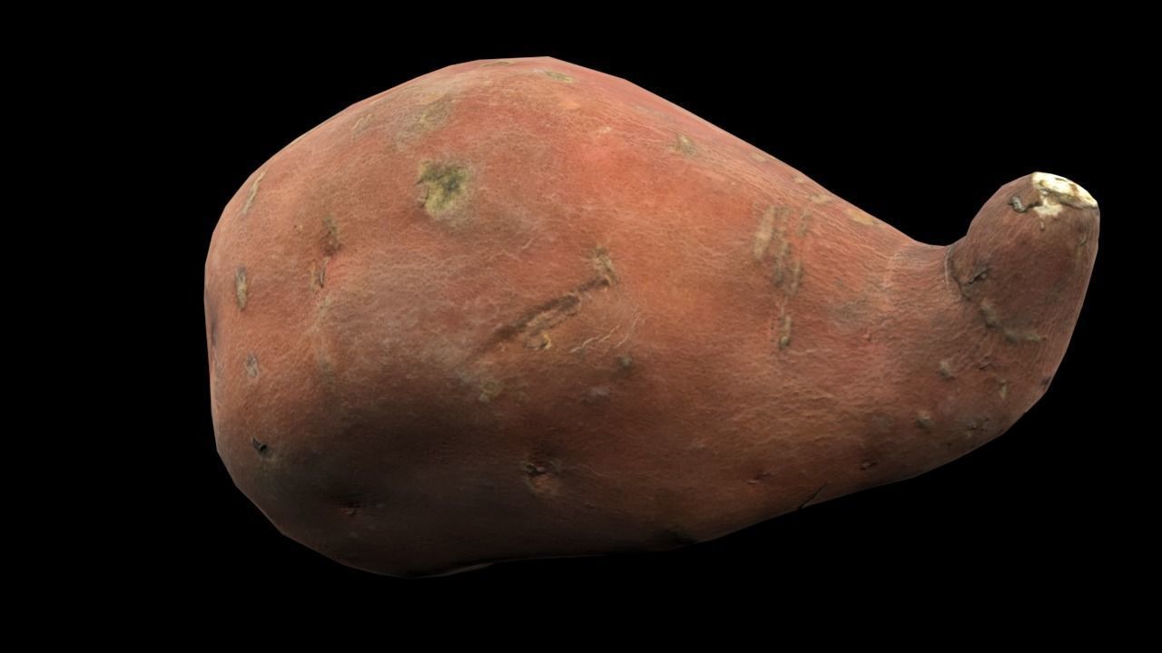 Sweet Potato Low-poly 3D model_3