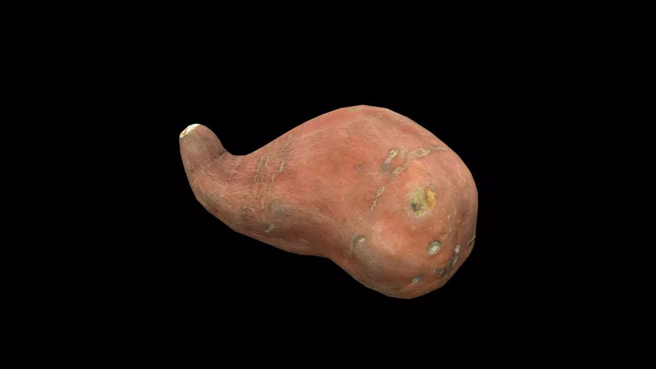 Sweet Potato Low-poly 3D model_0