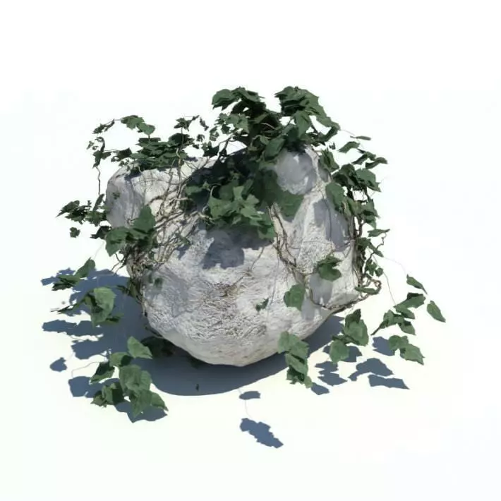 Boulder Small Leaves Branches 3D model_0