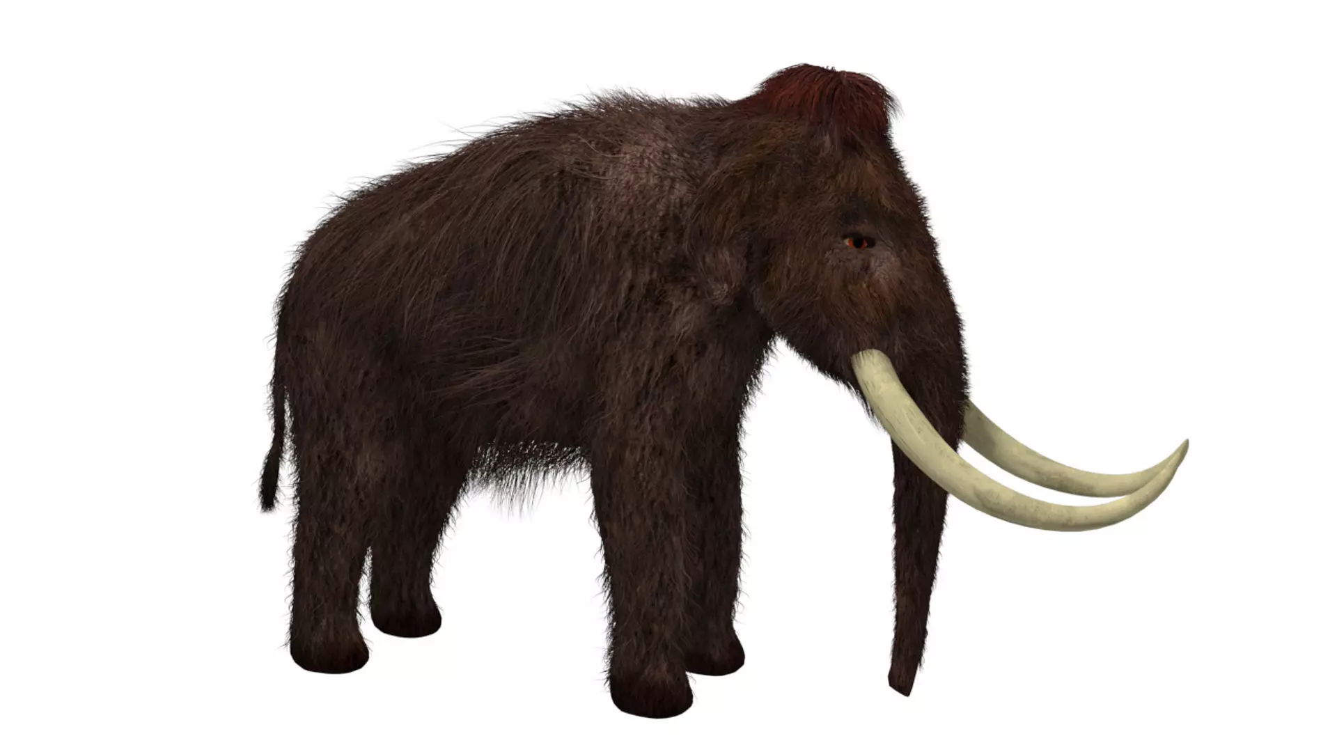 Mammoth woolly with long tusks Low-poly 3D model