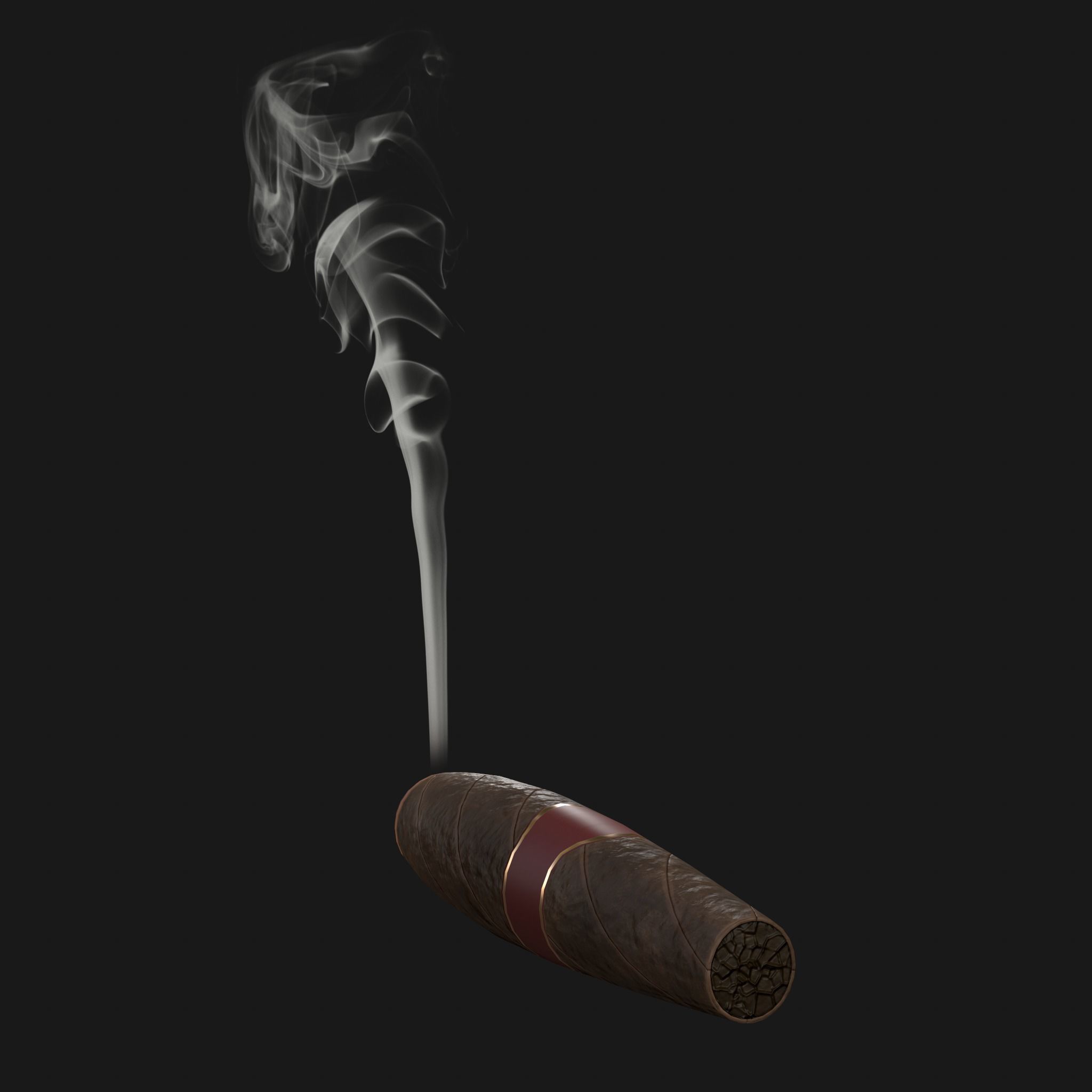 Cigar with smoke 3D model_9