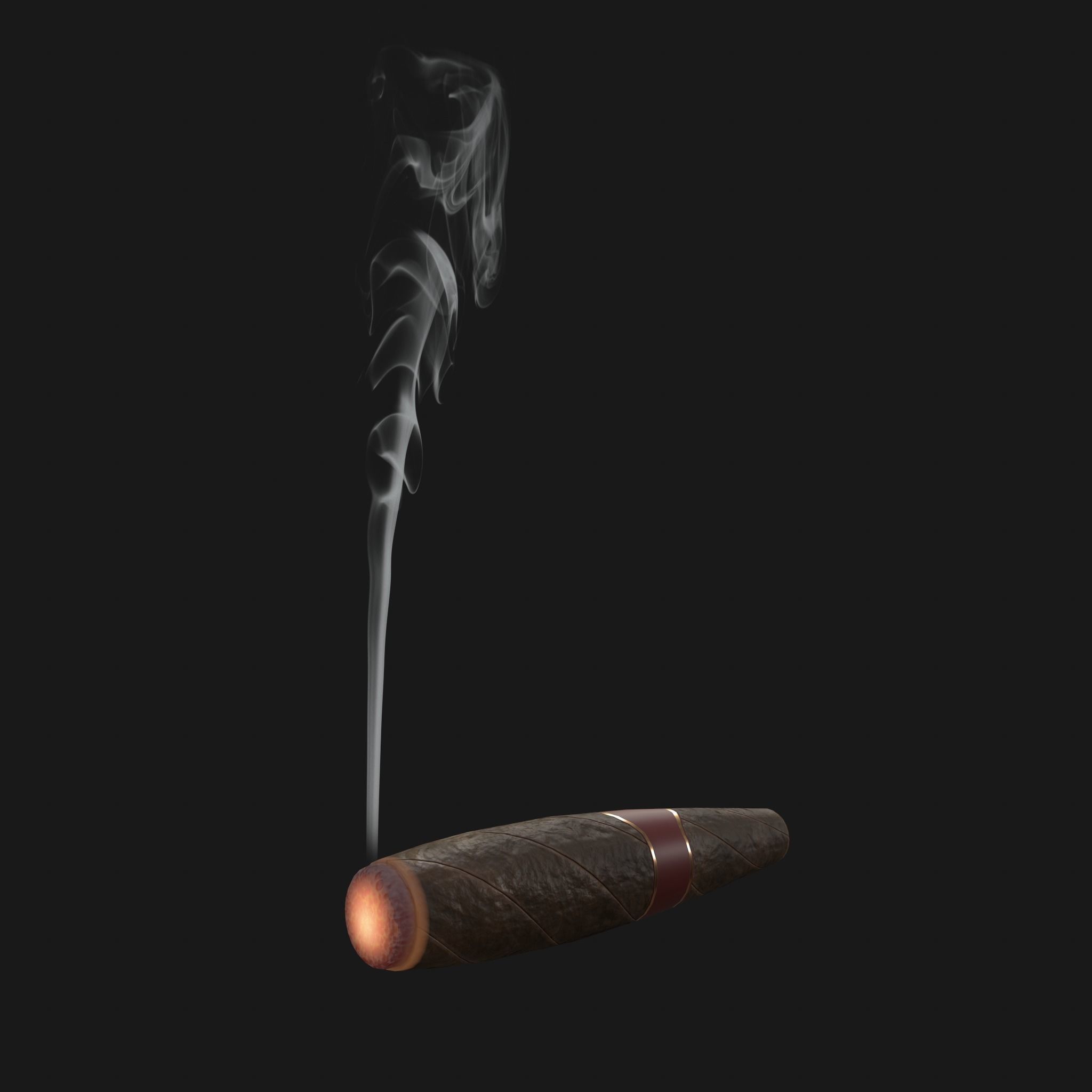Cigar with smoke 3D model_3