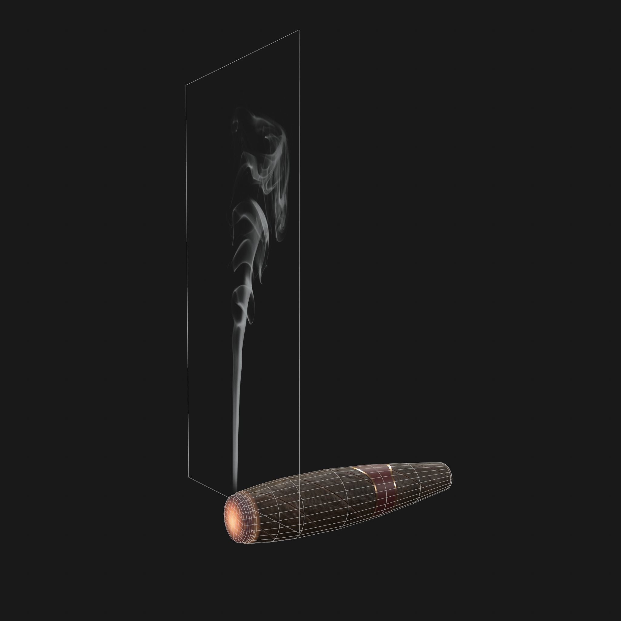 Cigar with smoke 3D model_13