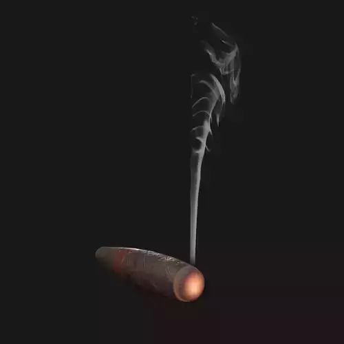 Cigar with smoke 3D model