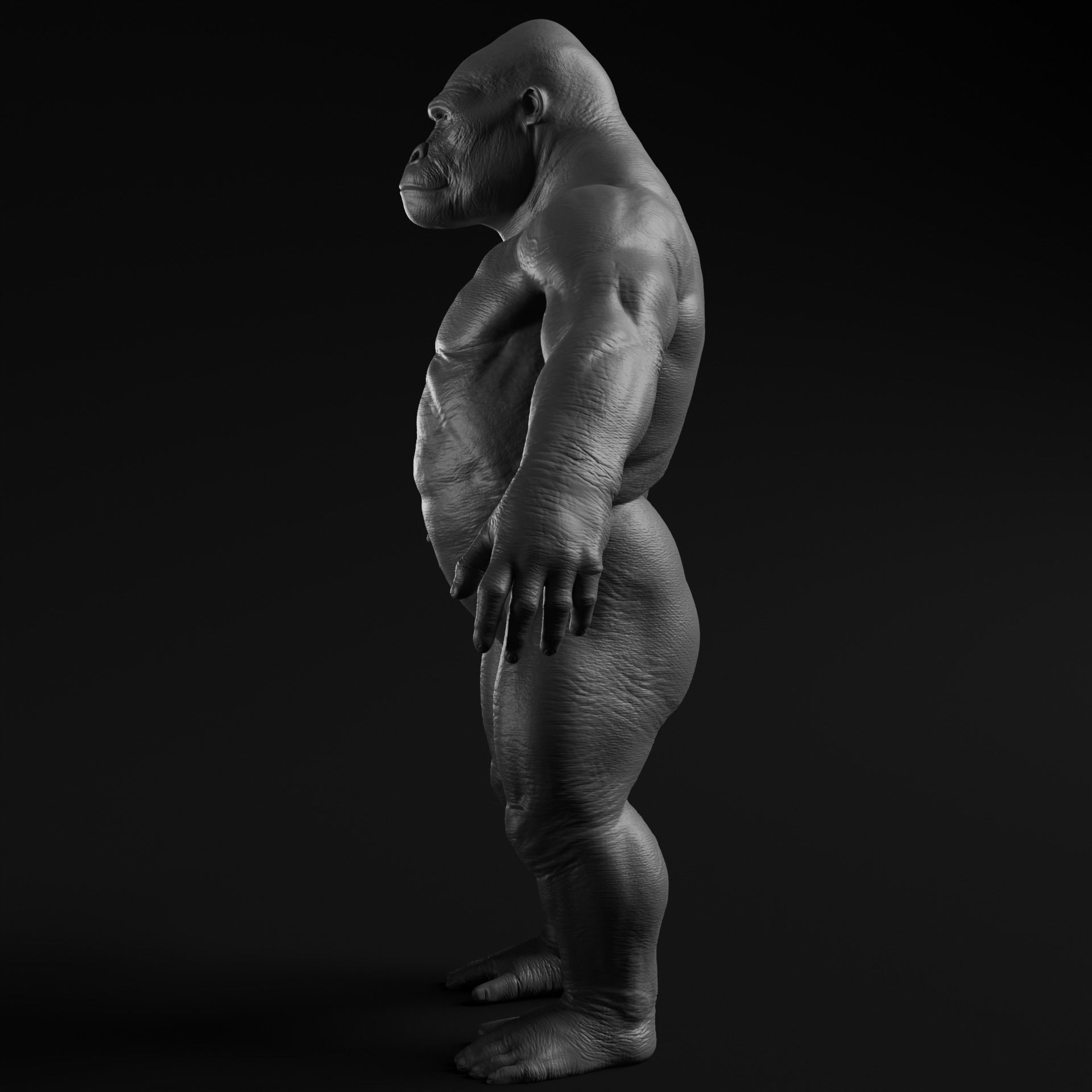 Gorilla - Highpoly Sculpture 3D model  3D model_8