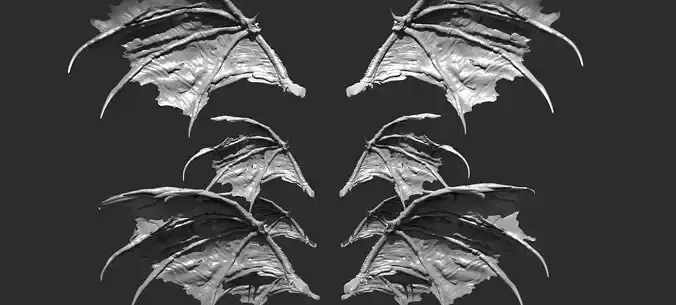 Bat Wings Collection 1 3D model