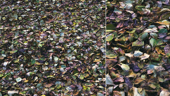 Autumn foliage material 01 3D model