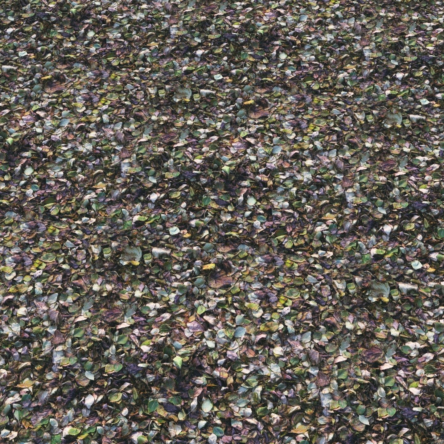 Autumn foliage material 01 3D model_4