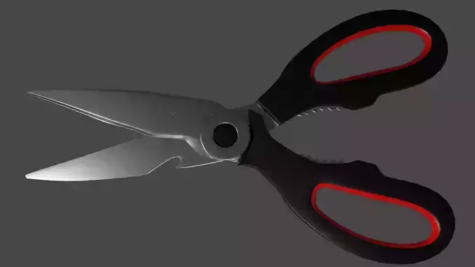 Kitchen Scissors tool 