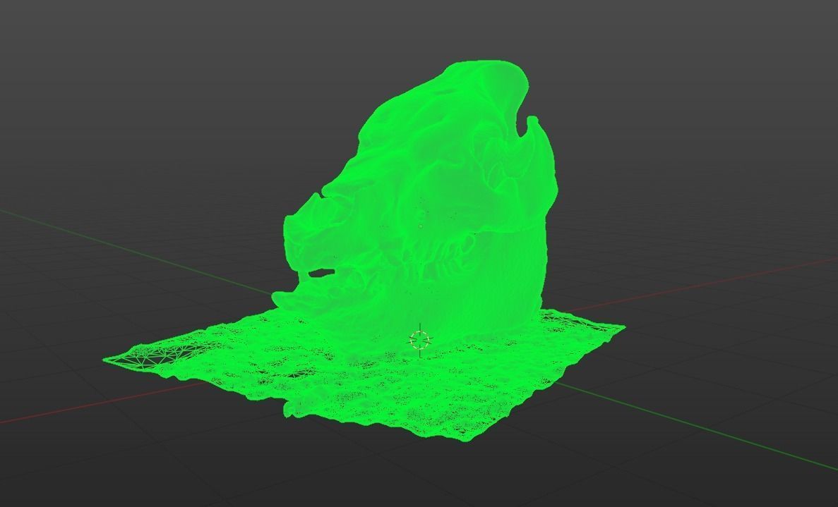 Animal skull - pig cranium - Photoscan 3D model_5