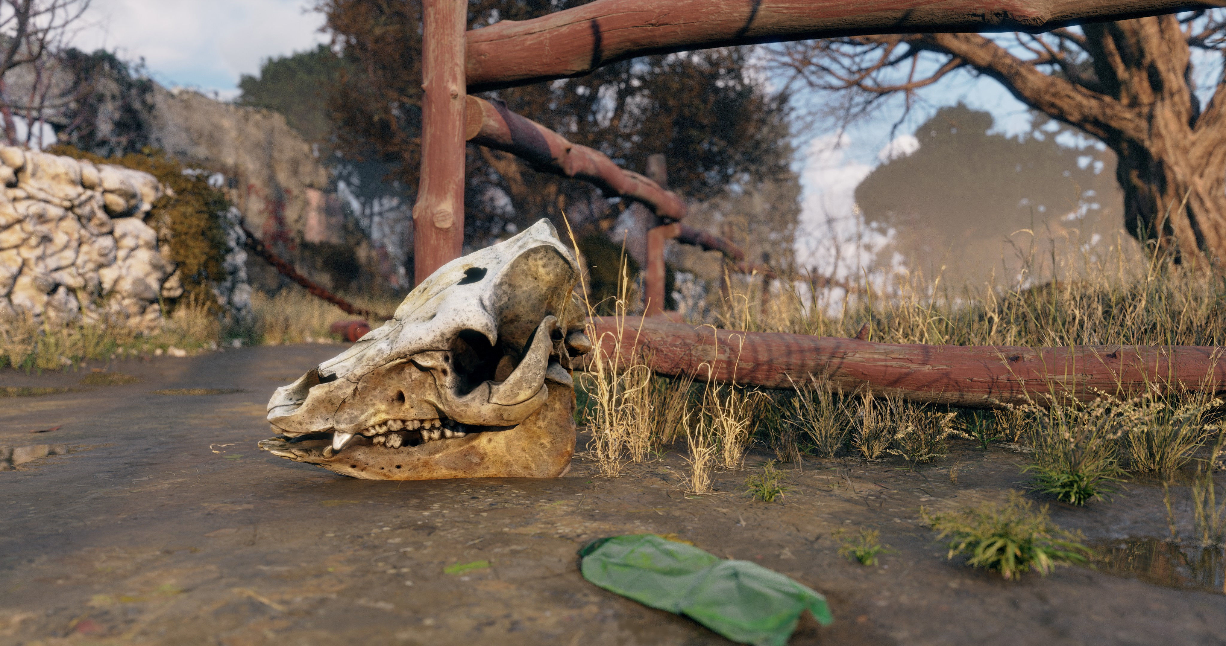 Animal skull - pig cranium - Photoscan 3D model_4