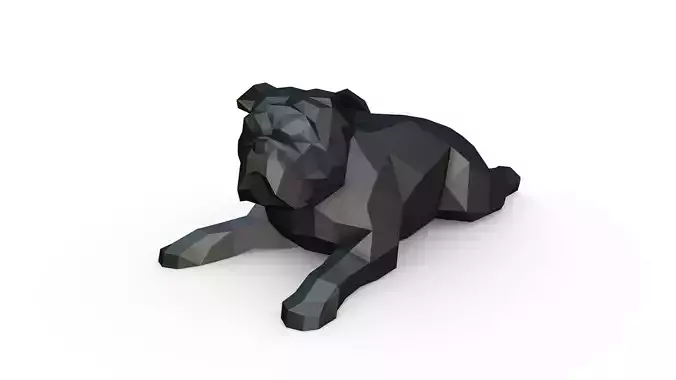 English bulldog lying