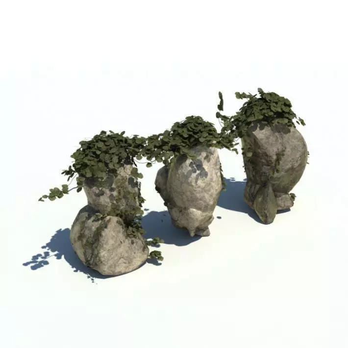 Rock With Green Vine 3D model_0