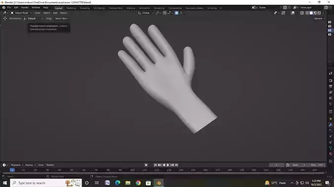 Hand nice