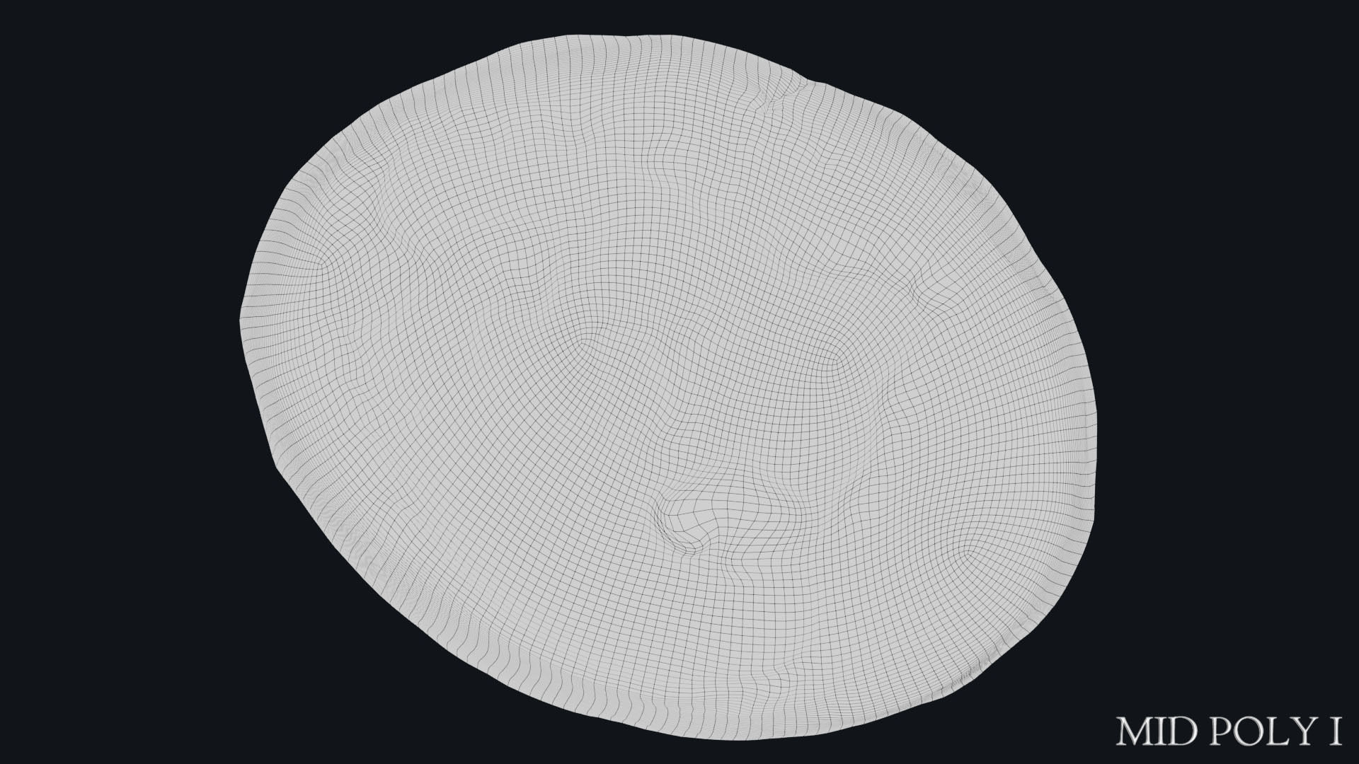 Lydian Coin Low-poly 3D model_54