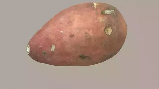 Sweet Potato