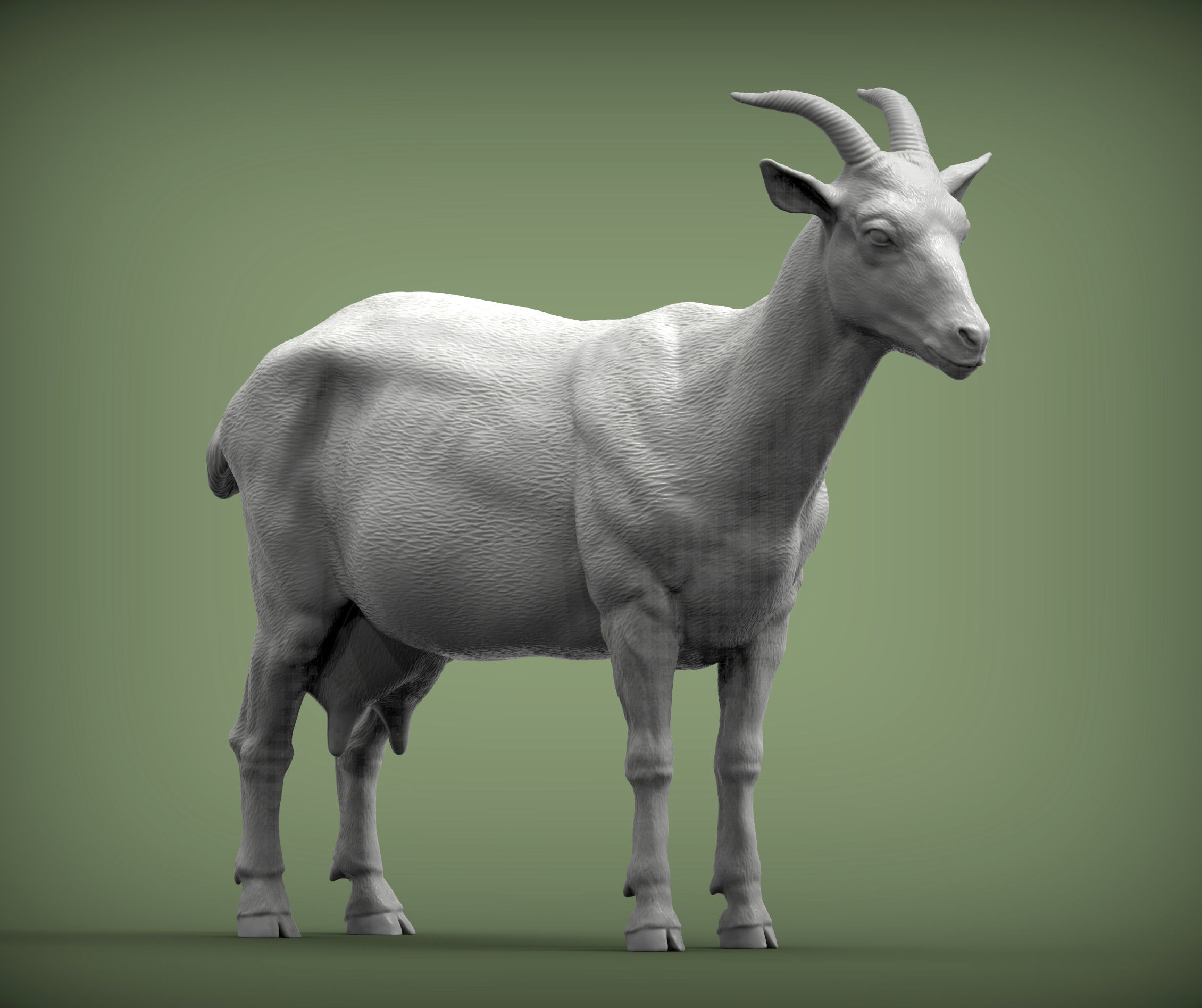 goat 3D print model 3D print model_6