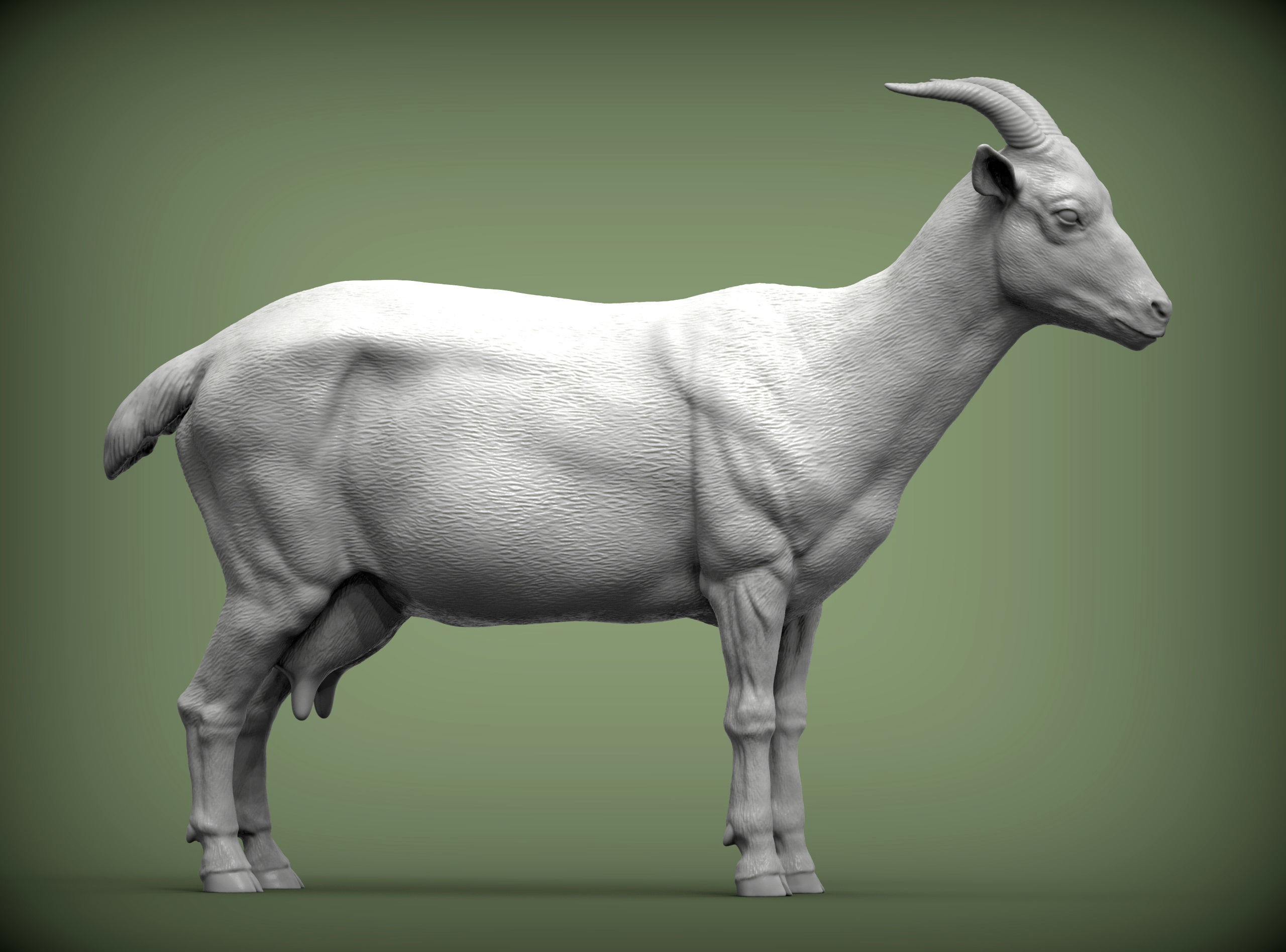 goat 3D print model 3D print model_2