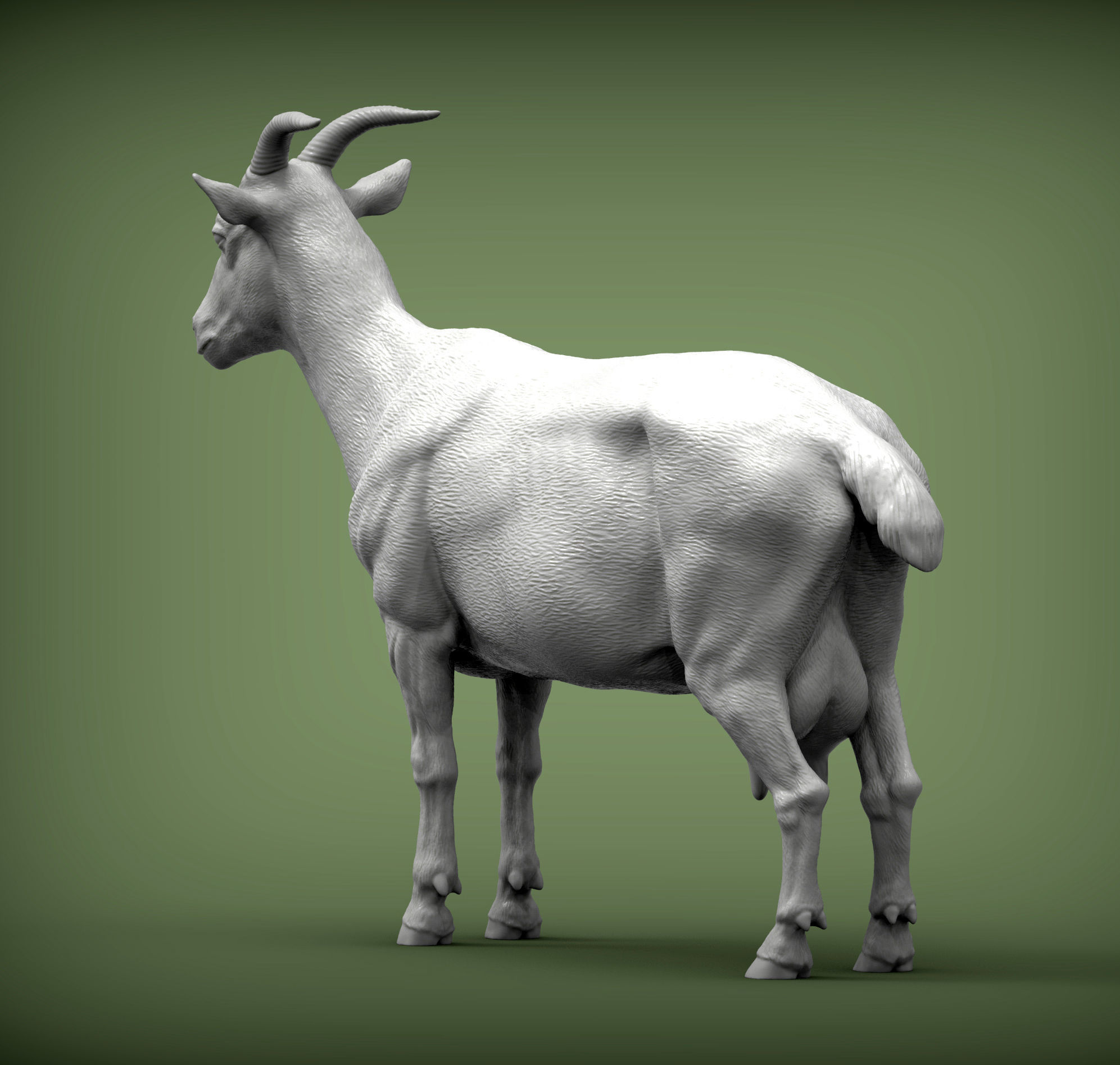 goat 3D print model 3D print model_4