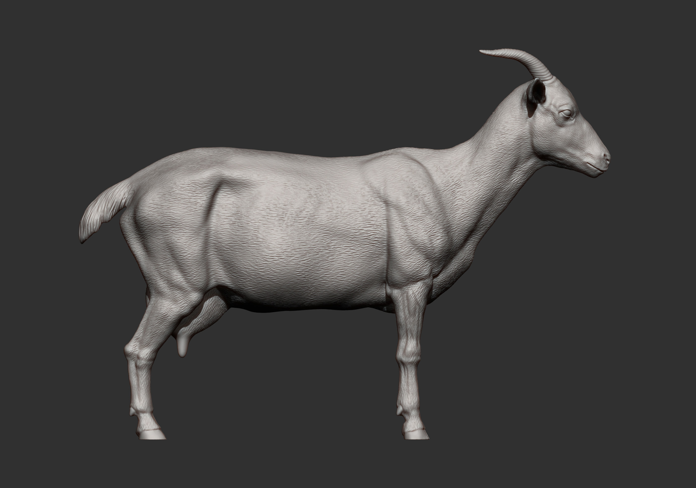 goat 3D print model 3D print model_12