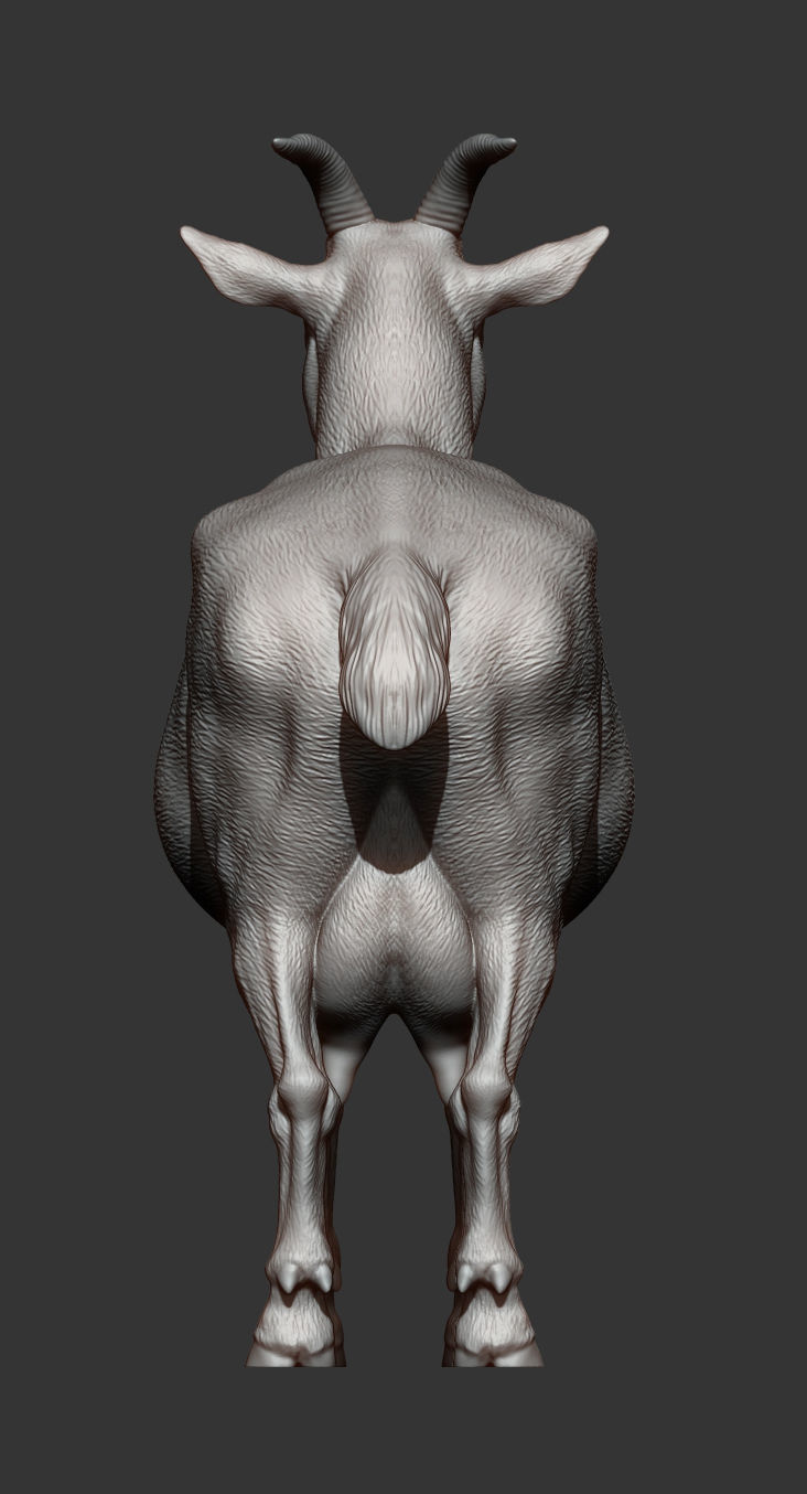 goat 3D print model 3D print model_9