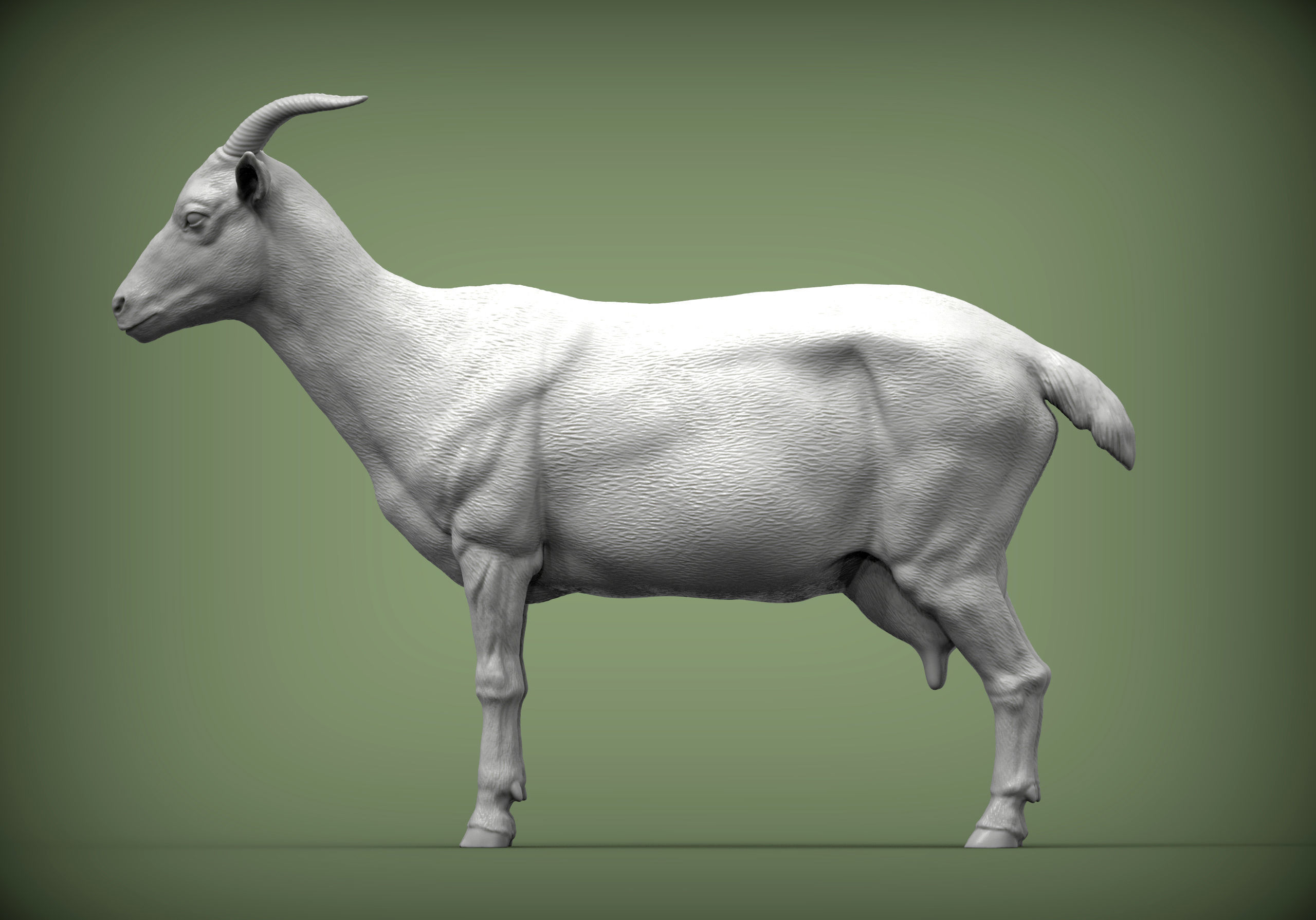 goat 3D print model 3D print model_3