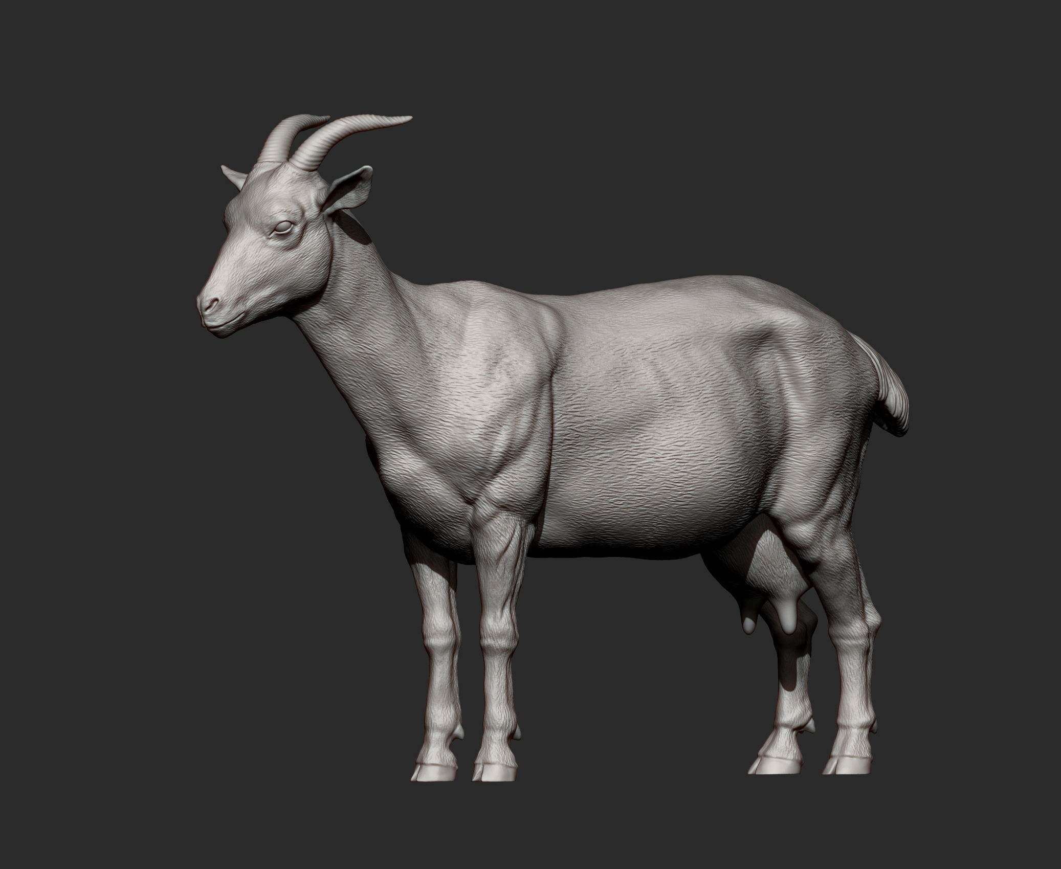 goat 3D print model 3D print model_8