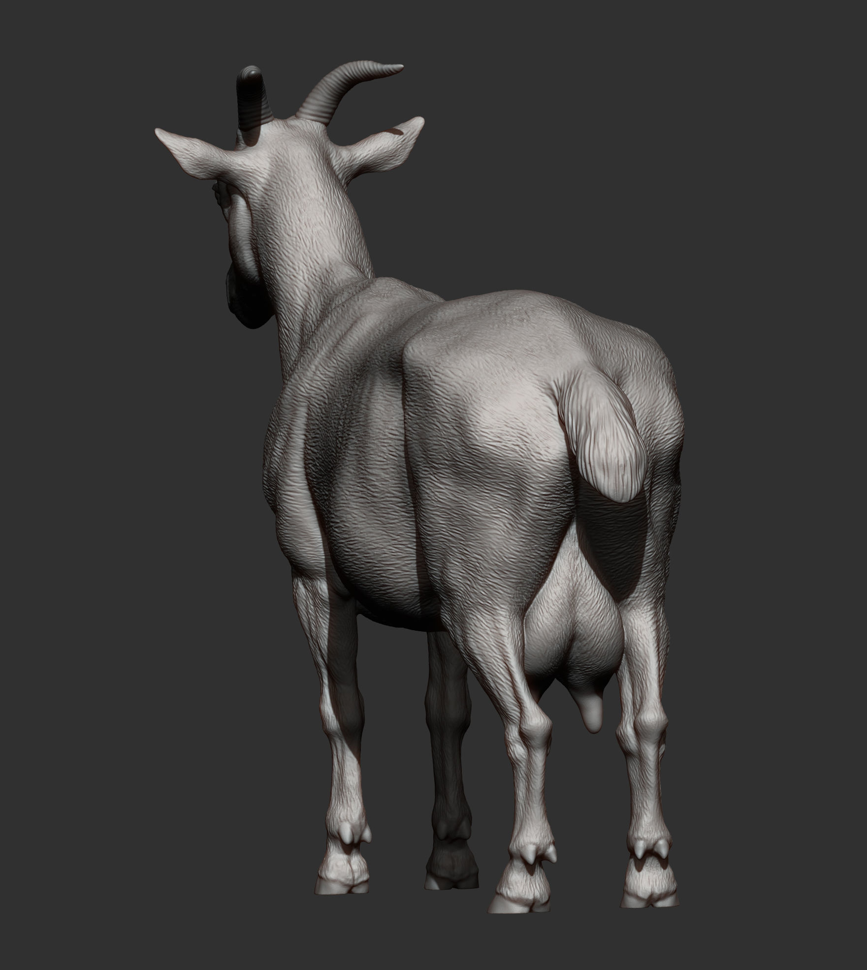goat 3D print model 3D print model_11