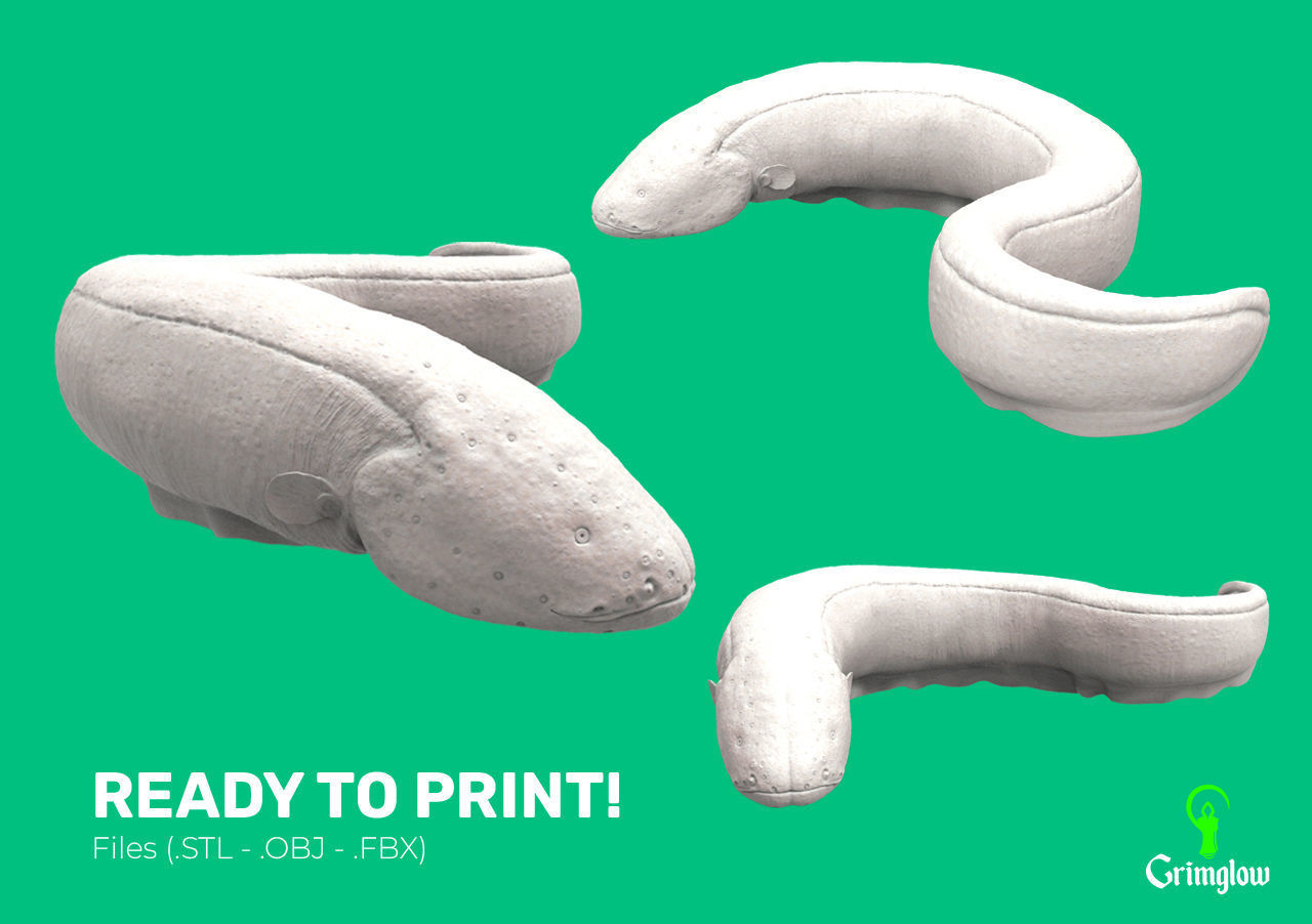 Electric Eel 3D print model_8