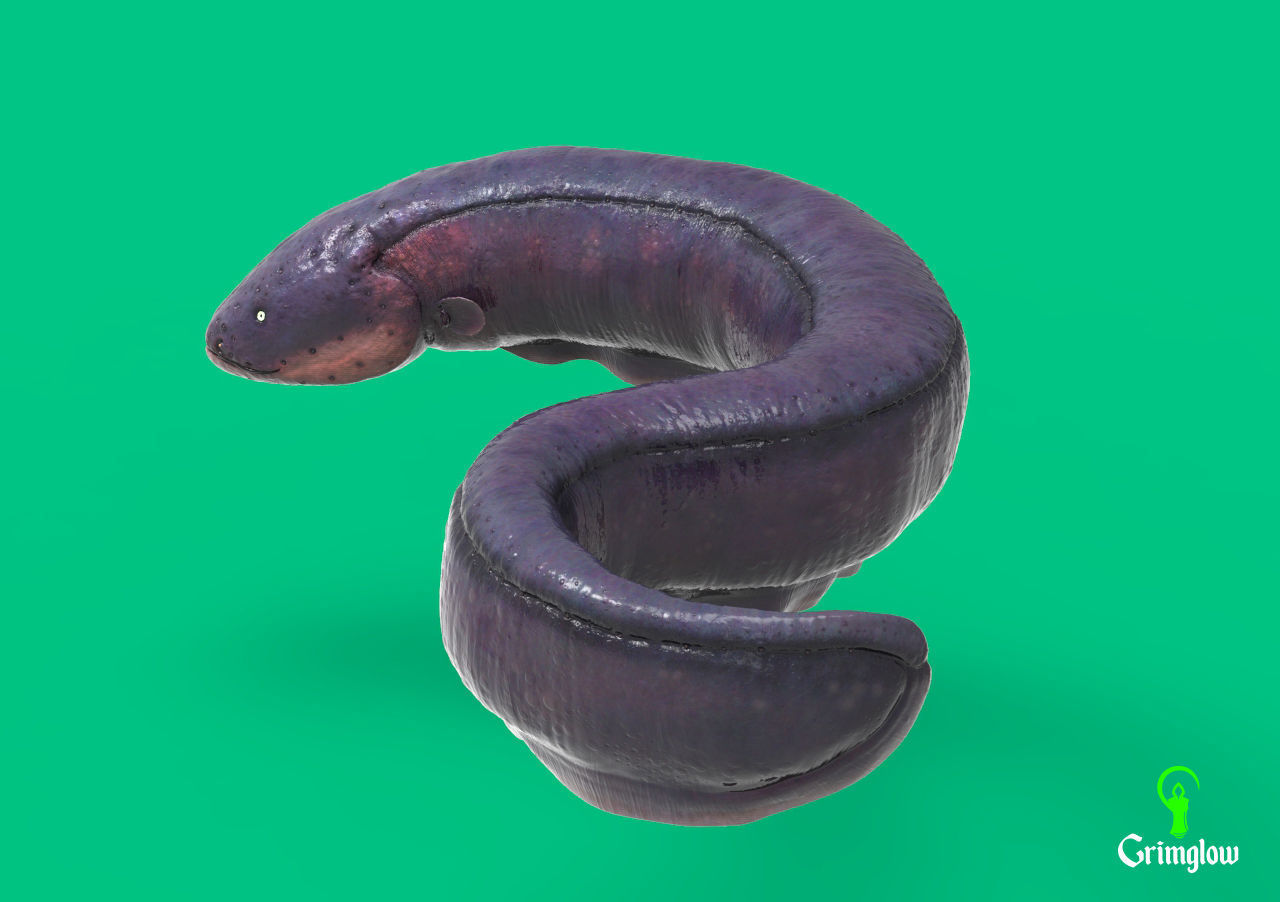 Electric Eel 3D print model_5
