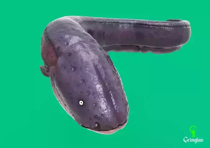 Electric Eel 3D print model
