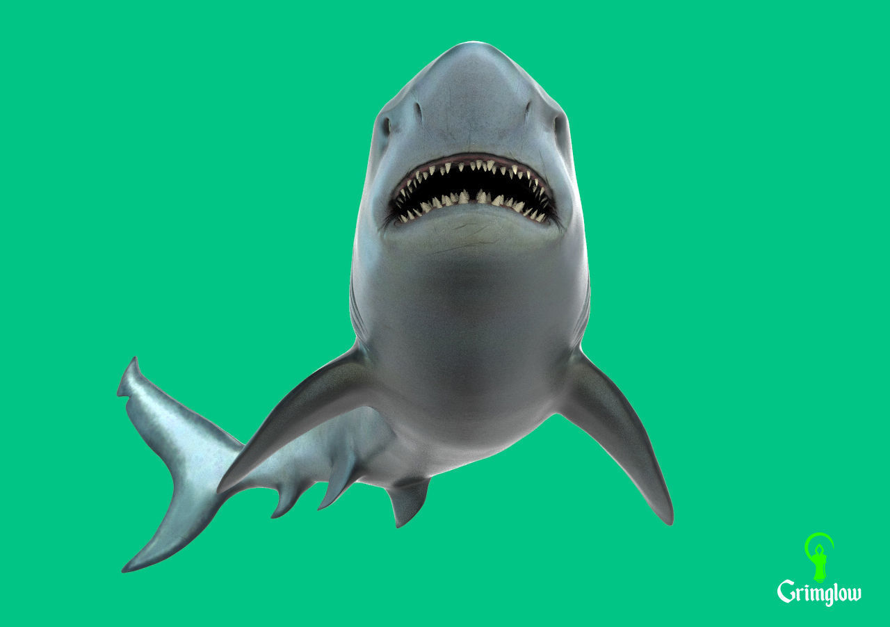 Bull Shark 3D print model_1