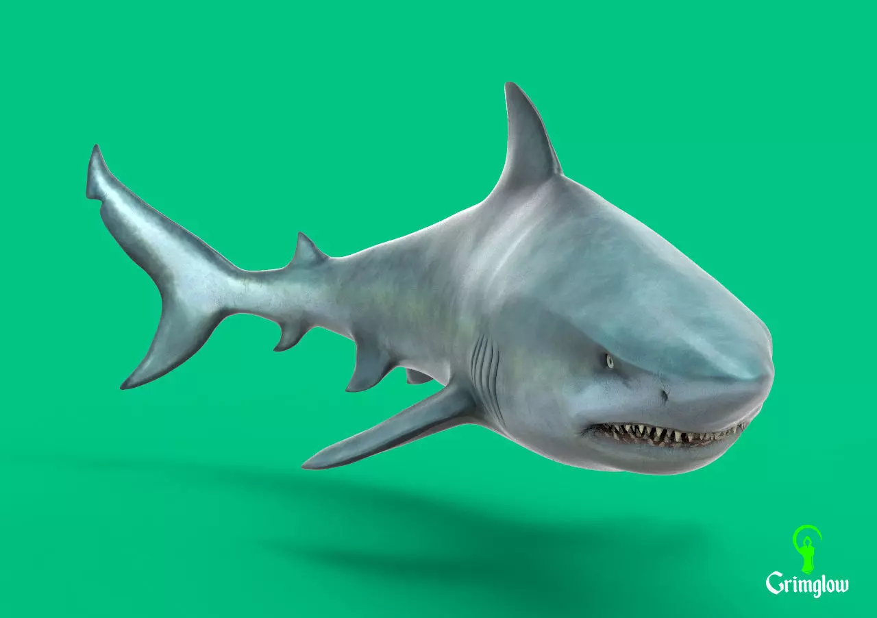 Bull Shark 3D print model_0