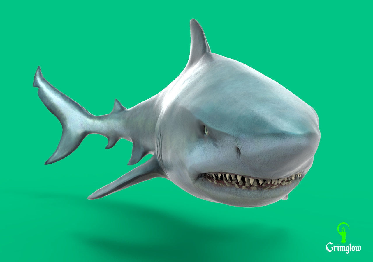 Bull Shark 3D print model_11