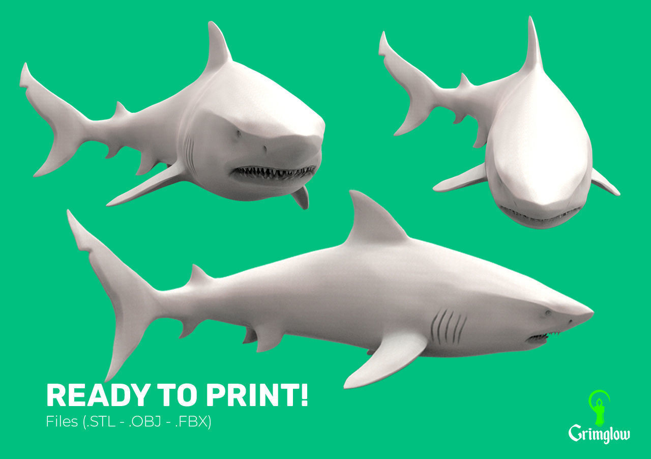 Bull Shark 3D print model_12