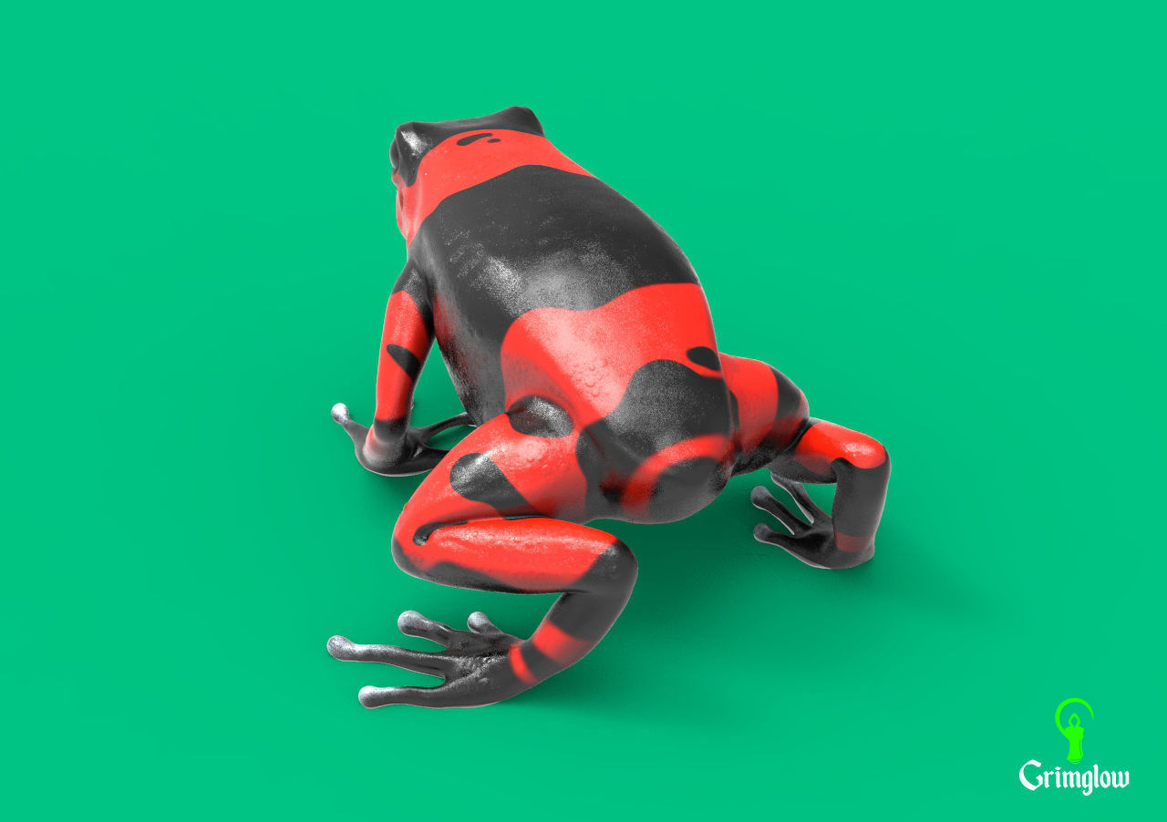 Harlequin frog 3D print model_2