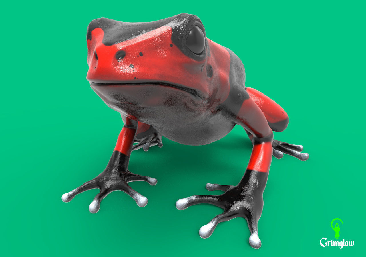 Harlequin frog 3D print model_4