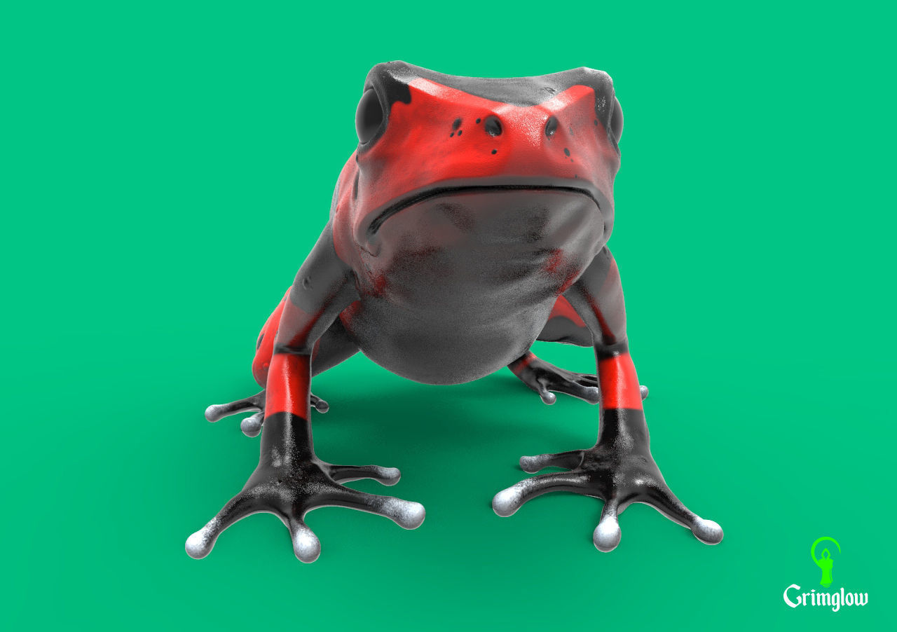 Harlequin frog 3D print model_5